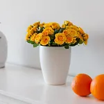 Paradise View Family By Altamarhomes Apartman